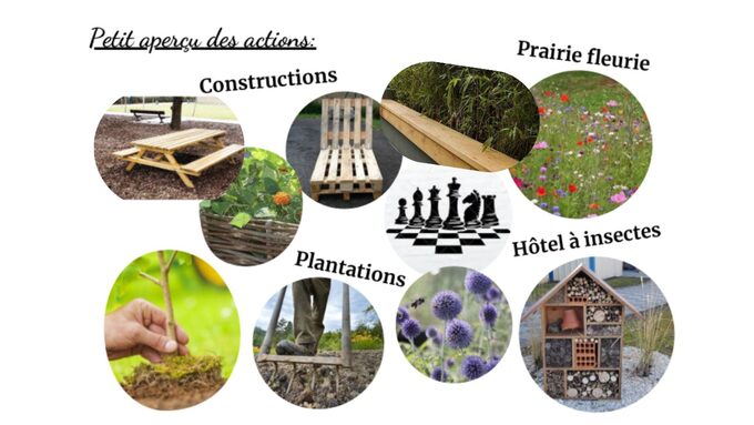 Design sans titre.jpg